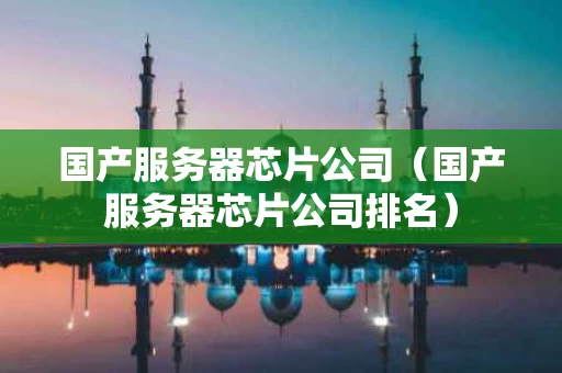 国产服务器芯片公司（国产服务器芯片公司排名）