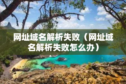 网址域名解析失败（网址域名解析失败怎么办）