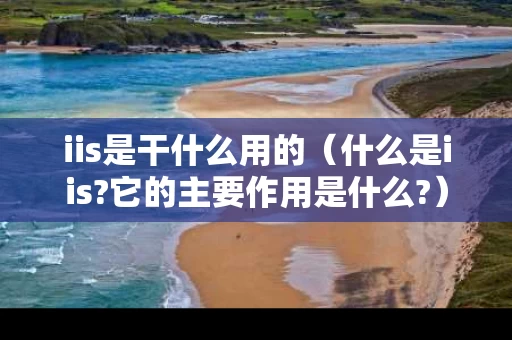 iis是干什么用的（什么是iis?它的主要作用是什么?）