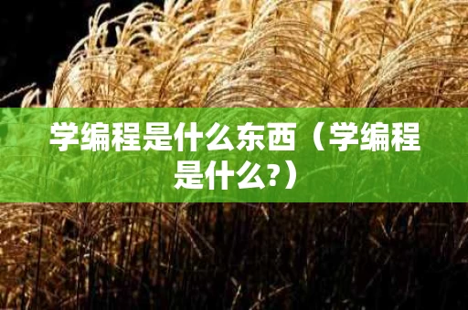 学编程是什么东西（学编程是什么?）