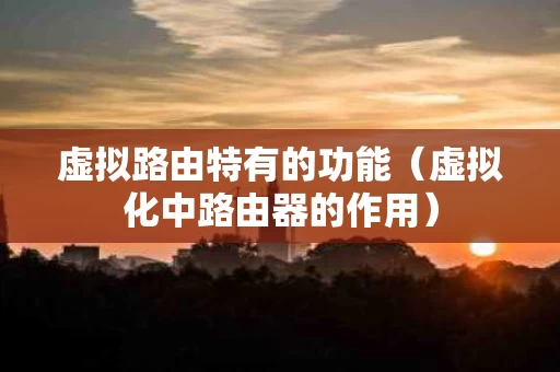 虚拟路由特有的功能（虚拟化中路由器的作用）