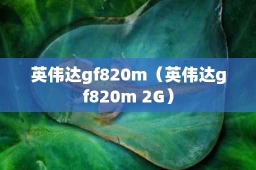 英伟达gf820m（英伟达gf820m 2G）