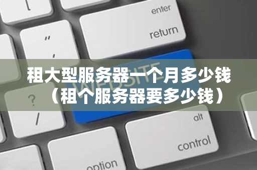 租大型服务器一个月多少钱（租个服务器要多少钱）