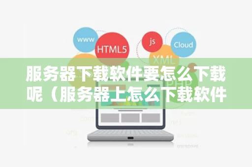 服务器下载软件要怎么下载呢（服务器上怎么下载软件）