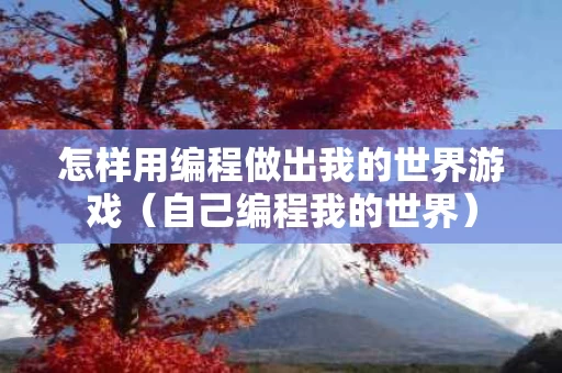 怎样用编程做出我的世界游戏（自己编程我的世界）