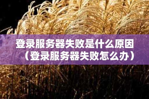 登录服务器失败是什么原因（登录服务器失败怎么办）