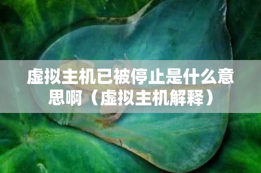 虚拟主机已被停止是什么意思啊（虚拟主机解释）