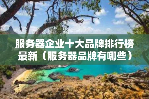 服务器企业十大品牌排行榜最新（服务器品牌有哪些）