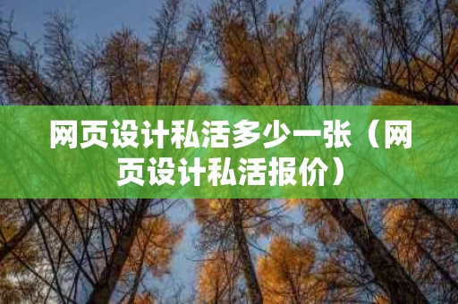 网页设计私活多少一张（网页设计私活报价）
