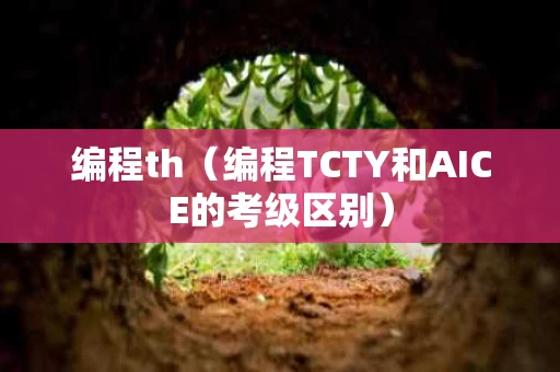 编程th（编程TCTY和AICE的考级区别）
