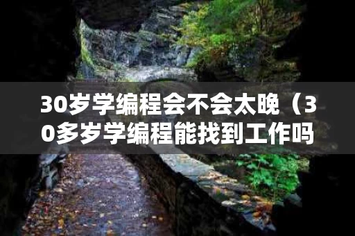 30岁学编程会不会太晚（30多岁学编程能找到工作吗）
