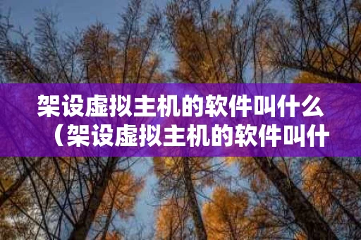 架设虚拟主机的软件叫什么（架设虚拟主机的软件叫什么名字）