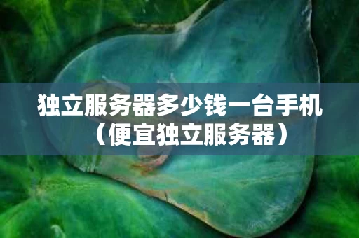 独立服务器多少钱一台手机（便宜独立服务器）