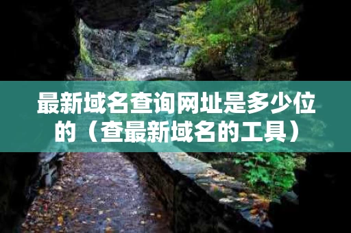 最新域名查询网址是多少位的（查最新域名的工具）