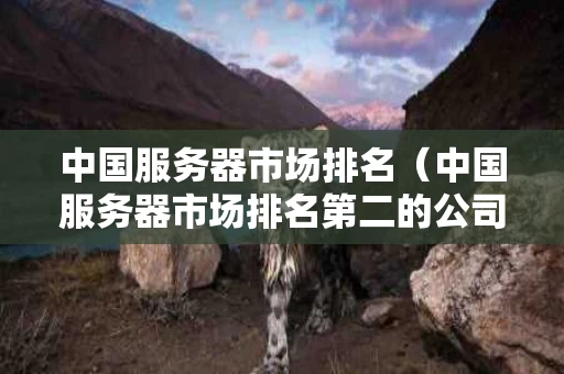 中国服务器市场排名（中国服务器市场排名第二的公司）