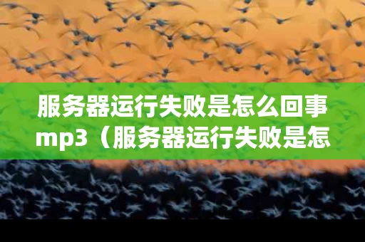 服务器运行失败是怎么回事mp3（服务器运行失败是怎么回事 mp4）