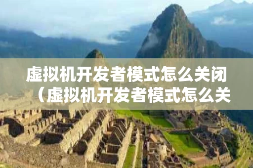 虚拟机开发者模式怎么关闭（虚拟机开发者模式怎么关闭啊）