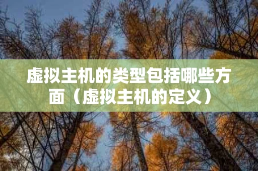 虚拟主机的类型包括哪些方面（虚拟主机的定义）