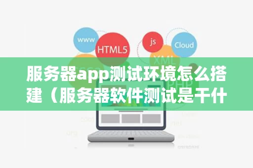 服务器app测试环境怎么搭建（服务器软件测试是干什么的）