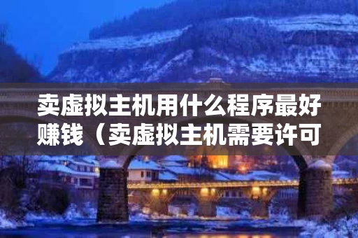 卖虚拟主机用什么程序最好赚钱（卖虚拟主机需要许可证吗）
