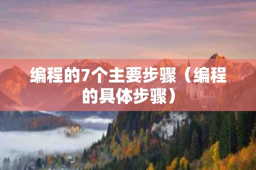 编程的7个主要步骤（编程的具体步骤）