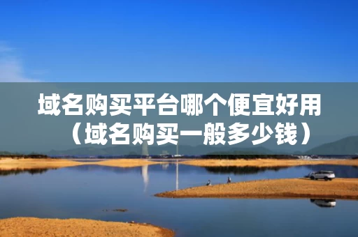 域名购买平台哪个便宜好用（域名购买一般多少钱）