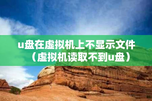 u盘在虚拟机上不显示文件（虚拟机读取不到u盘）