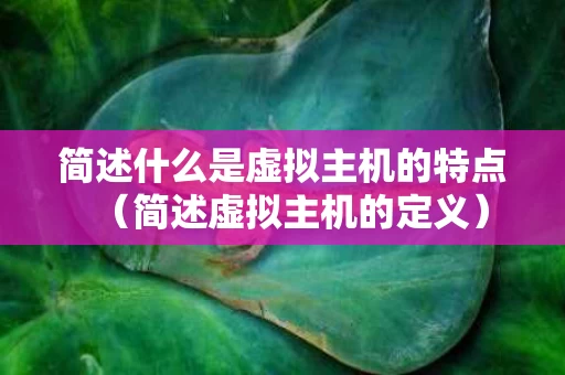 简述什么是虚拟主机的特点（简述虚拟主机的定义）