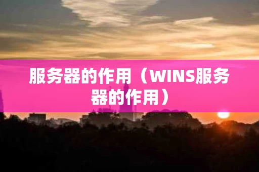 服务器的作用（WINS服务器的作用）