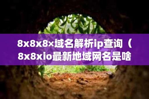 8x8x8×域名解析ip查询（8x8xio最新地域网名是啥ip查询）