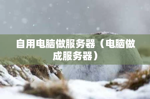 自用电脑做服务器（电脑做成服务器）