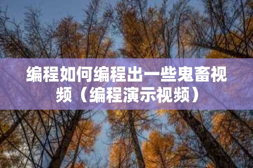 编程如何编程出一些鬼畜视频（编程演示视频）