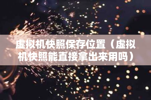 虚拟机快照保存位置（虚拟机快照能直接拿出来用吗）