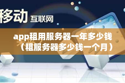 app租用服务器一年多少钱（租服务器多少钱一个月）