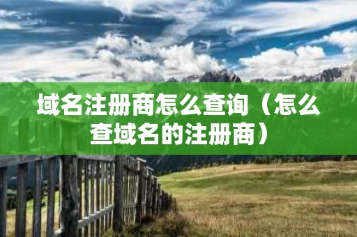 域名注册商怎么查询（怎么查域名的注册商）
