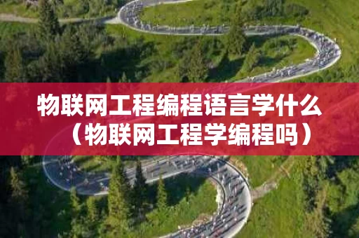 物联网工程编程语言学什么（物联网工程学编程吗）