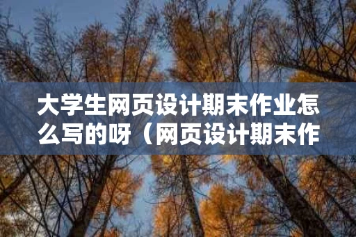 大学生网页设计期末作业怎么写的呀（网页设计期末作业做什么主题）