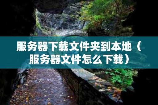服务器下载文件夹到本地（服务器文件怎么下载）