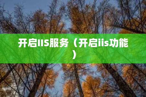 开启IIS服务（开启iis功能）
