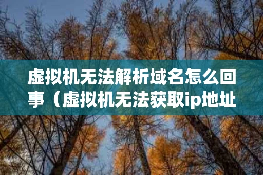 虚拟机无法解析域名怎么回事（虚拟机无法获取ip地址）