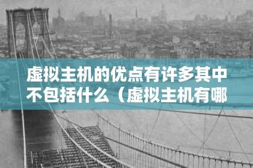 虚拟主机的优点有许多其中不包括什么（虚拟主机有哪些特点）