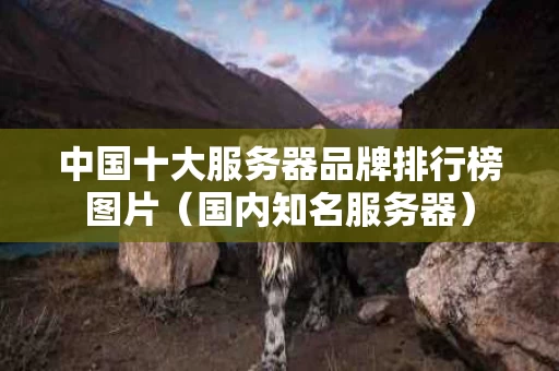 中国十大服务器品牌排行榜图片（国内知名服务器）