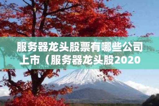 服务器龙头股票有哪些公司上市（服务器龙头股2020年）