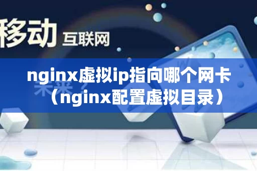 nginx虚拟ip指向哪个网卡（nginx配置虚拟目录）