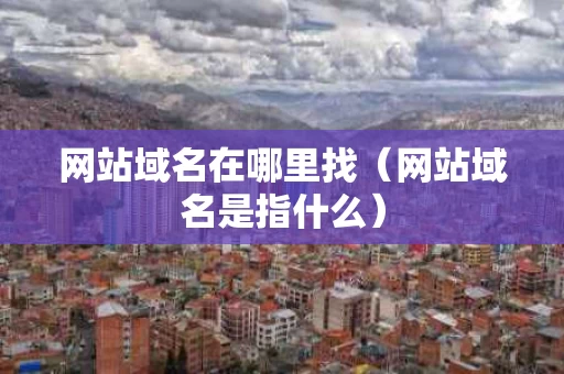 网站域名在哪里找（网站域名是指什么）