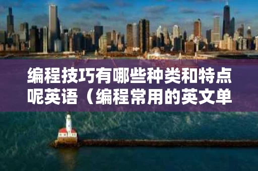 编程技巧有哪些种类和特点呢英语（编程常用的英文单词和语法）