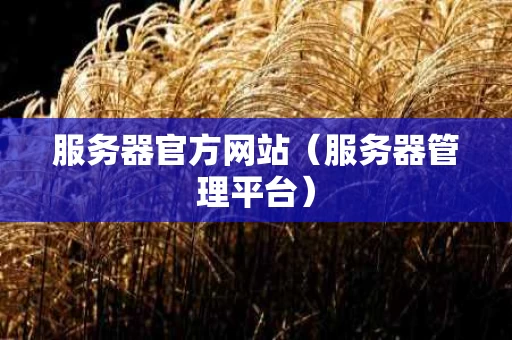 服务器官方网站（服务器管理平台）