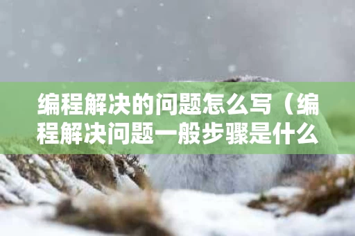 编程解决的问题怎么写（编程解决问题一般步骤是什么）