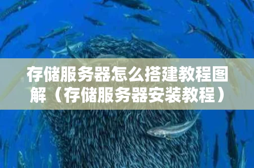 存储服务器怎么搭建教程图解（存储服务器安装教程）