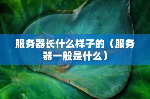 服务器长什么样子的（服务器一般是什么）